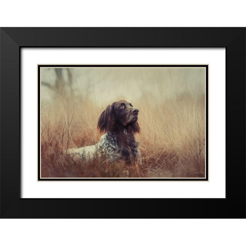 Beautiful Aragorn Black Modern Wood Framed Art Print with Double Matting by Willers, Heike