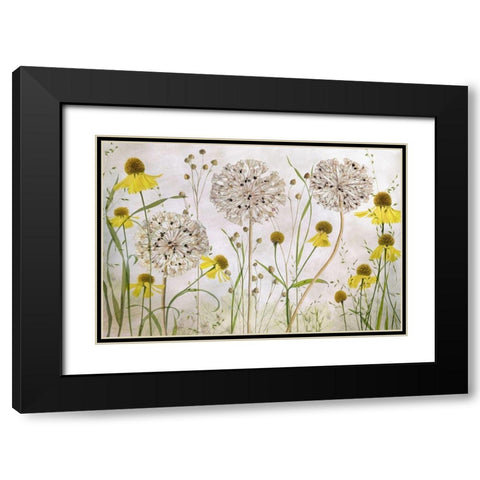 Alliums and heleniums Black Modern Wood Framed Art Print with Double Matting by Disher, Mandy