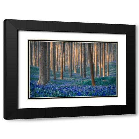 Dreams are made of these Black Modern Wood Framed Art Print with Double Matting by Popan, Adrian