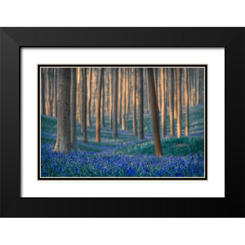 Dreams are made of these Black Modern Wood Framed Art Print with Double Matting by Popan, Adrian