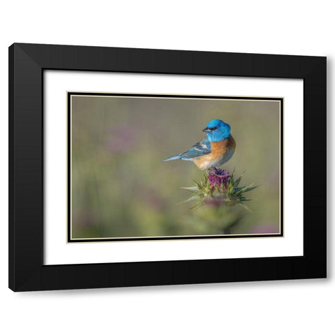 Blowin in the wind Black Modern Wood Framed Art Print with Double Matting by Barsh, Greg