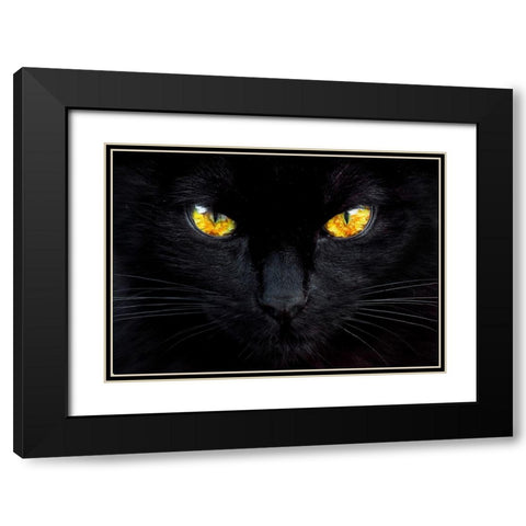 The hypnotist of the night Black Modern Wood Framed Art Print with Double Matting by Valverde, Ferdinando
