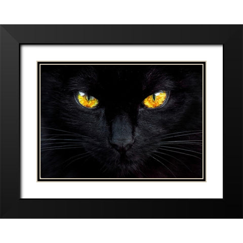 The hypnotist of the night Black Modern Wood Framed Art Print with Double Matting by Valverde, Ferdinando
