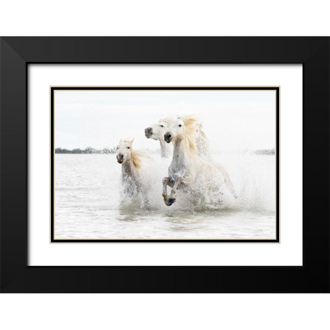 Horses  hight key Black Modern Wood Framed Art Print with Double Matting by De Simone, Ciro