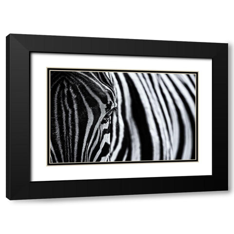 The look of nature Black Modern Wood Framed Art Print with Double Matting by Tagliarino, Marco