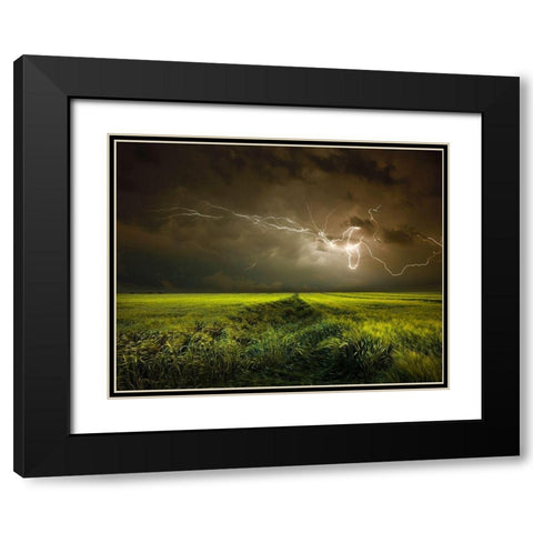 Electrically in Summer Black Modern Wood Framed Art Print with Double Matting by Schumacher, Nicolas