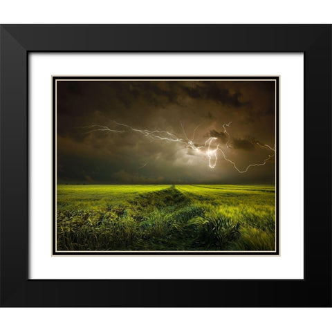 Electrically in Summer Black Modern Wood Framed Art Print with Double Matting by Schumacher, Nicolas