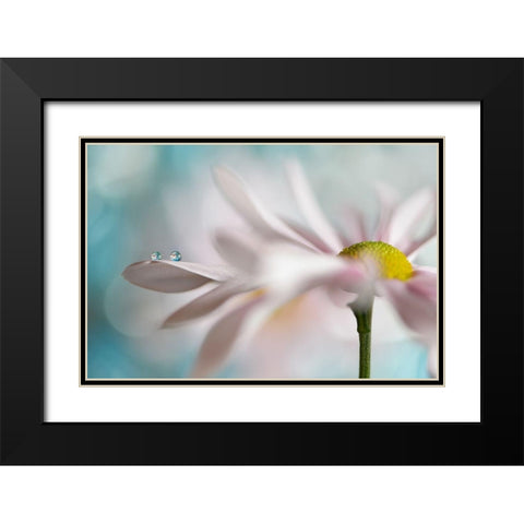 Tiny duo Black Modern Wood Framed Art Print with Double Matting by Westum, Heidi