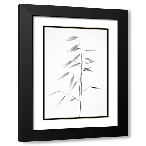 Sharpness of the nature Black Modern Wood Framed Art Print with Double Matting by Lagandre, Thierry
