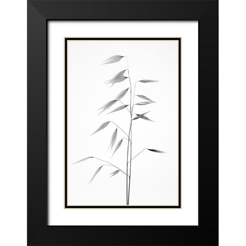 Sharpness of the nature Black Modern Wood Framed Art Print with Double Matting by Lagandre, Thierry