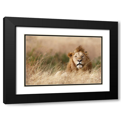 Handsome! Black Modern Wood Framed Art Print with Double Matting by Khataw, Ali