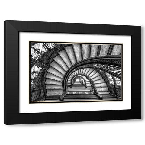 The Rookery Black Modern Wood Framed Art Print with Double Matting by Sun, Yimei