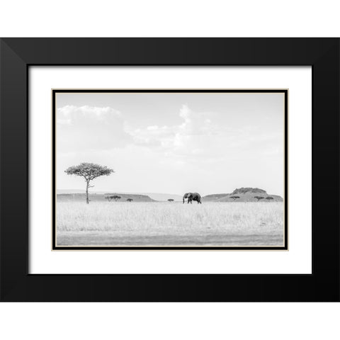 HIGH KEY SAVANNAH Black Modern Wood Framed Art Print with Double Matting by Marx, Jaco