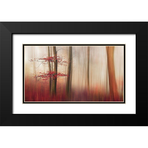 Red Leaves. Black Modern Wood Framed Art Print with Double Matting by Londal, Leif