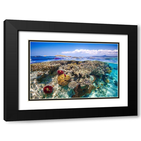 Mayotte : The Reef Black Modern Wood Framed Art Print with Double Matting by Gabriel, Barathieu