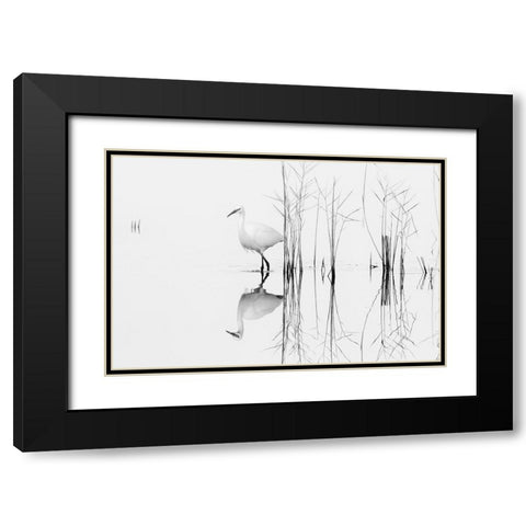 white Black Modern Wood Framed Art Print with Double Matting by Planinski, Zhecho