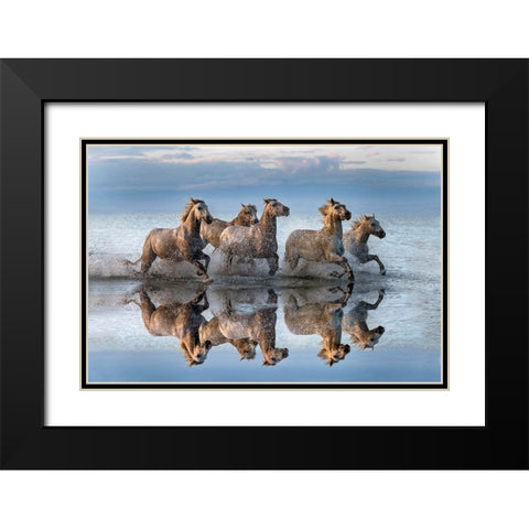 Horses and reflection Black Modern Wood Framed Art Print with Double Matting by Ortega, Xavier