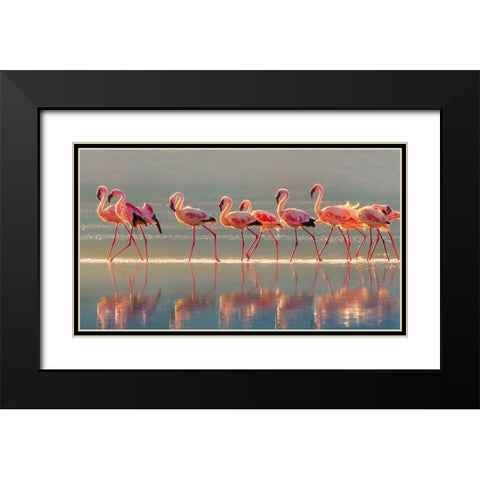 Flamingo Black Modern Wood Framed Art Print with Double Matting by Chang, Phillip