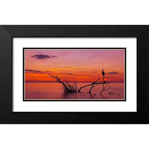 Quiet evening Black Modern Wood Framed Art Print with Double Matting by Verdon