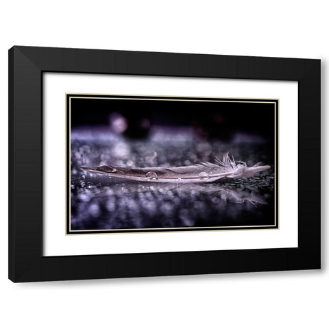 Feather and Drop II Black Modern Wood Framed Art Print with Double Matting by Fabiano, Alessandro