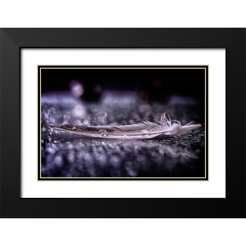 Feather and Drop II Black Modern Wood Framed Art Print with Double Matting by Fabiano, Alessandro