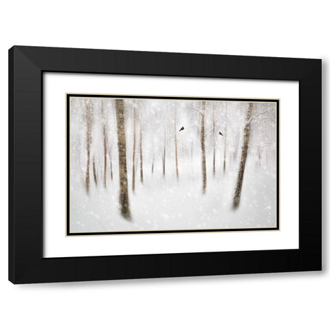 Winter Birches Black Modern Wood Framed Art Print with Double Matting by Davidsson, Gustav