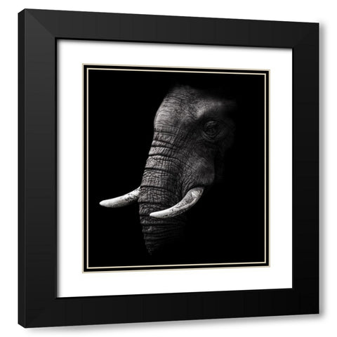 Portrait Black Modern Wood Framed Art Print with Double Matting by Wildphotoart