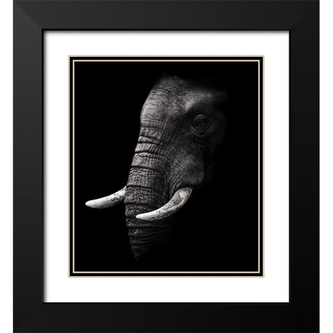 Portrait Black Modern Wood Framed Art Print with Double Matting by Wildphotoart
