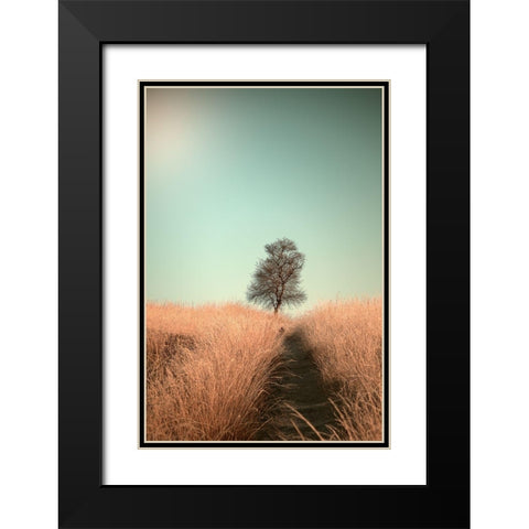 Grass and Path Black Modern Wood Framed Art Print with Double Matting by Van Den, Jaap