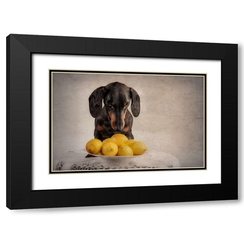 When Life Gives You Lemons... Black Modern Wood Framed Art Print with Double Matting by Willers, Heike