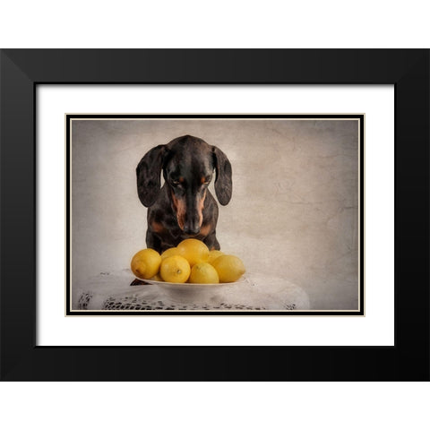 When Life Gives You Lemons... Black Modern Wood Framed Art Print with Double Matting by Willers, Heike