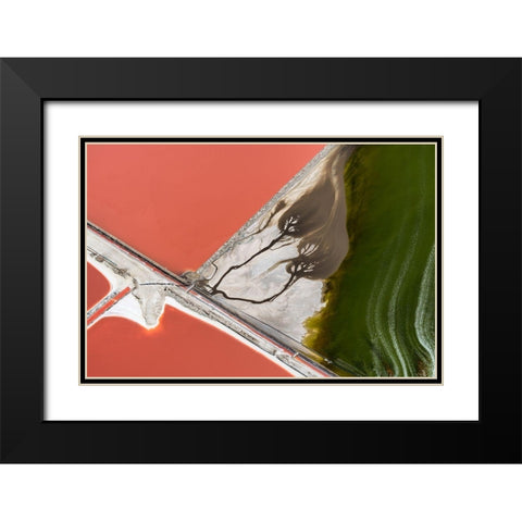 Natures painting Black Modern Wood Framed Art Print with Double Matting by Macua, Gerald