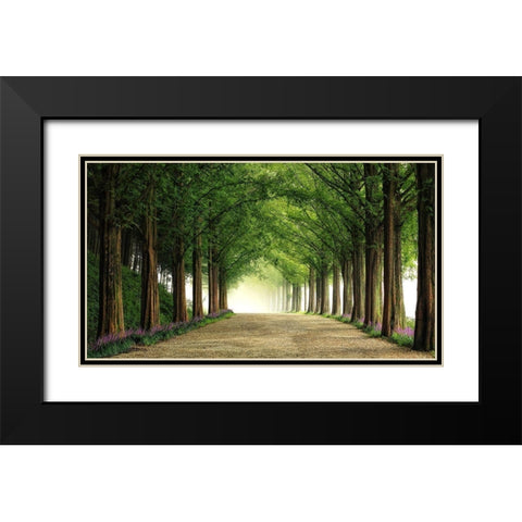 Metasequoia Road Black Modern Wood Framed Art Print with Double Matting by Seo, Tiger