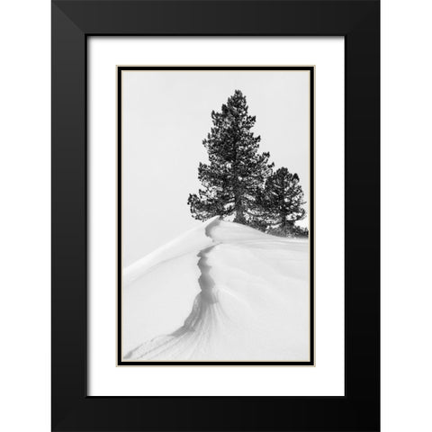 About the snow and forms Black Modern Wood Framed Art Print with Double Matting by Nunez Buj, Rodrigo