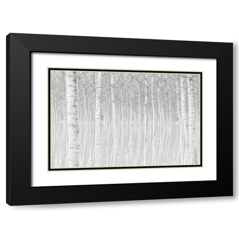 Trees Black Modern Wood Framed Art Print with Double Matting by Simone, Aglioni