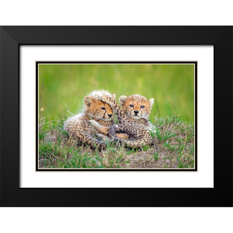 Promising Black Modern Wood Framed Art Print with Double Matting by Roshkumar