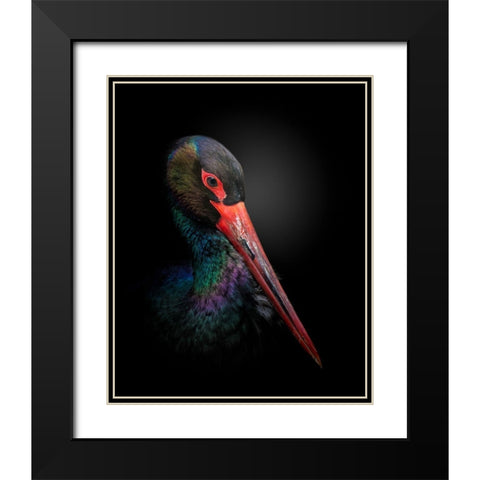 The Black Stork Black Modern Wood Framed Art Print with Double Matting by Fegari