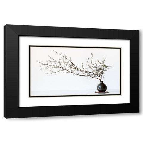 Vase And Branch Black Modern Wood Framed Art Print with Double Matting by Prbimages