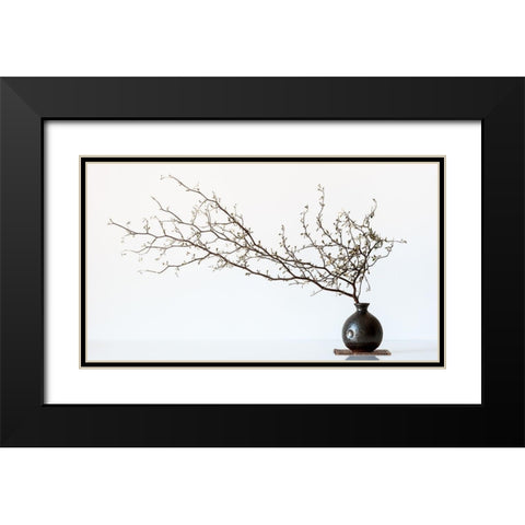 Vase And Branch Black Modern Wood Framed Art Print with Double Matting by Prbimages