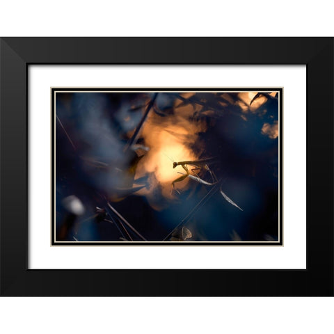 Wormhole Distorsion Black Modern Wood Framed Art Print with Double Matting by Bravin, Fabien