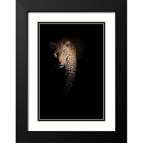 Out of the darkness Black Modern Wood Framed Art Print with Double Matting by Guijt, Richard