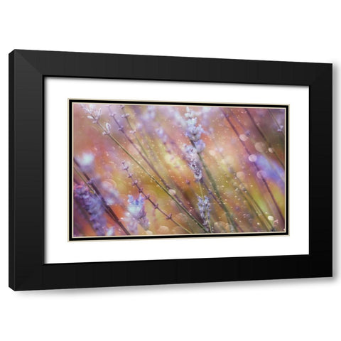 Something Magical Black Modern Wood Framed Art Print with Double Matting by Devos, Delphine