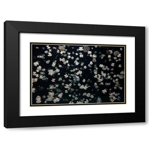 Just some Jellies Black Modern Wood Framed Art Print with Double Matting by Graf, Sebastian