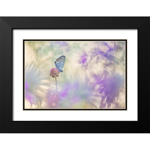 Pulsatilla Meadow Black Modern Wood Framed Art Print with Double Matting by Spranz, Henrik