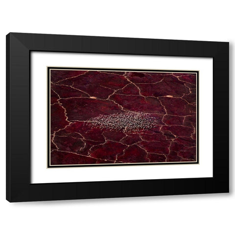 Red Planet Black Modern Wood Framed Art Print with Double Matting by Fan, John