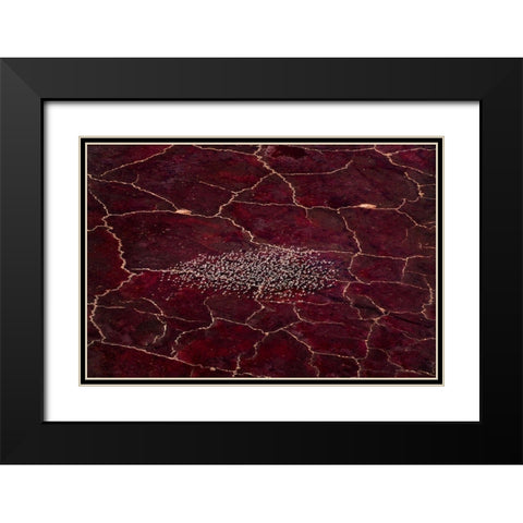 Red Planet Black Modern Wood Framed Art Print with Double Matting by Fan, John