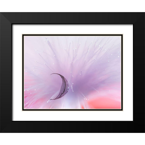 Untitled Black Modern Wood Framed Art Print with Double Matting by Selezenev, Konstantin