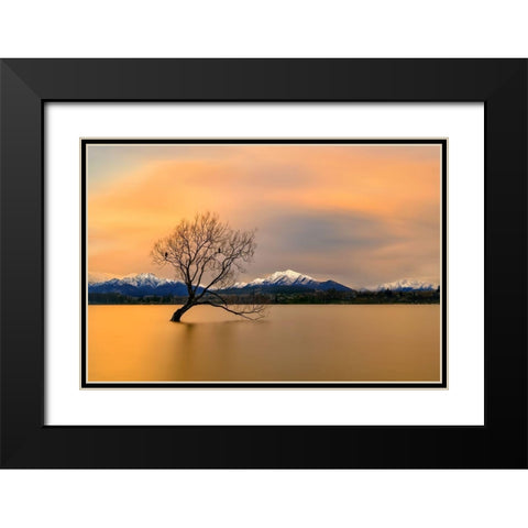Morning glow of the Lake Wanaka Black Modern Wood Framed Art Print with Double Matting by Zhu, Hua