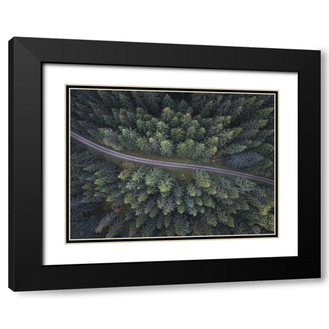 Small road through the forest Black Modern Wood Framed Art Print with Double Matting by Lindsten, Christian