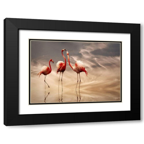 fighting Black Modern Wood Framed Art Print with Double Matting by Cseresnjes, Anna